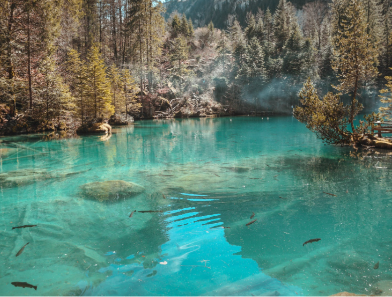 1650961485539267.png 微信截图_20220401133602.png