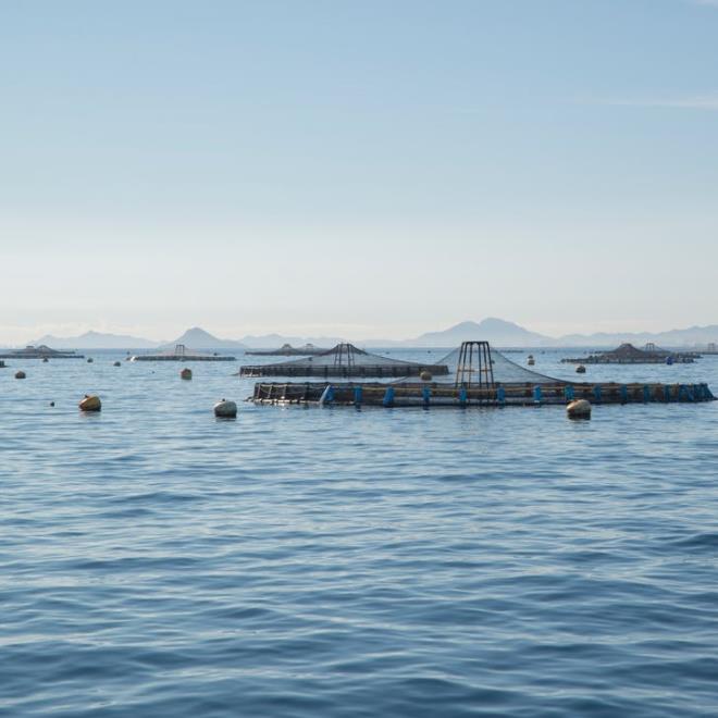 1655344034831960.jpg 养殖.jpg